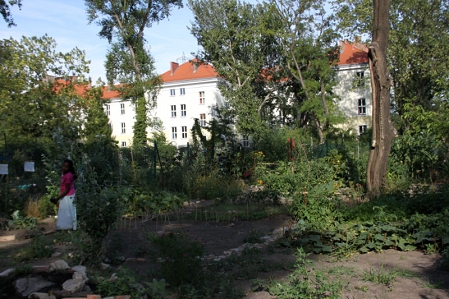 Interkultureller Garten Macondo mit Kaserne im Hintergrund